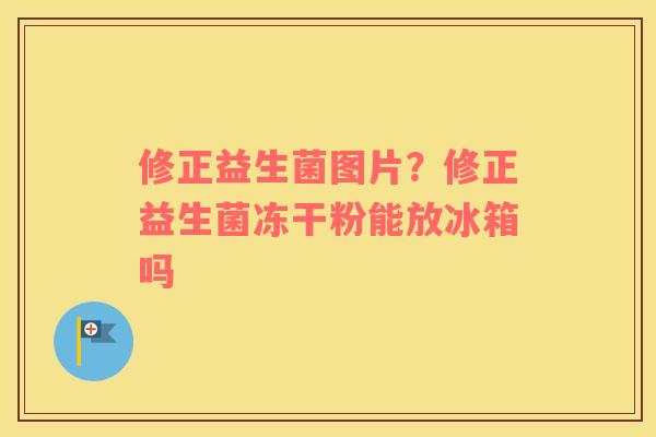 修正益生菌图片？修正益生菌冻干粉能放冰箱吗