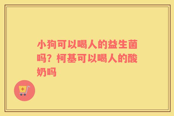 小狗可以喝人的益生菌吗？柯基可以喝人的酸奶吗