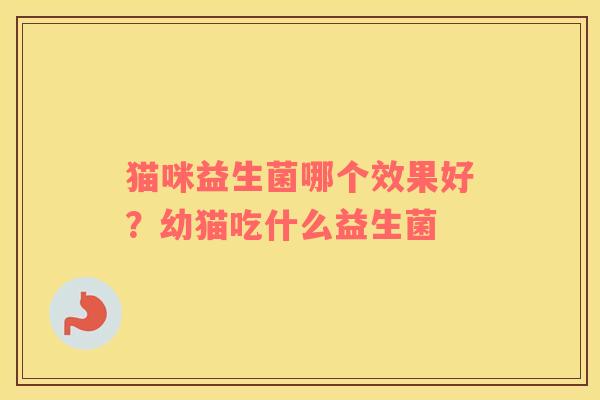 猫咪益生菌哪个效果好？幼猫吃什么益生菌