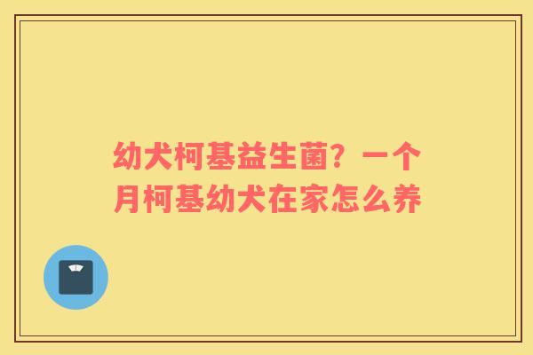 幼犬柯基益生菌？一个月柯基幼犬在家怎么养