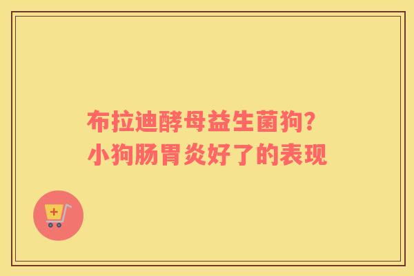 布拉迪酵母益生菌狗？小狗肠胃炎好了的表现