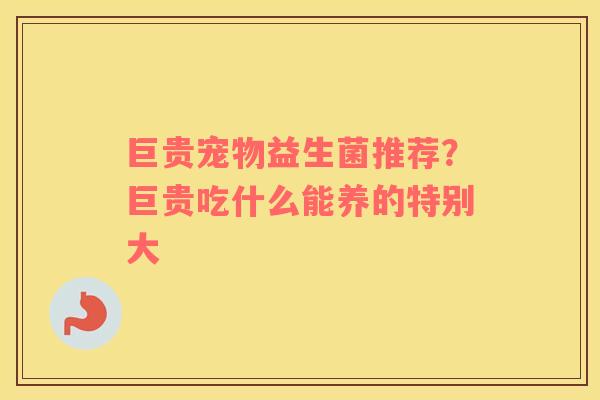 巨贵宠物益生菌推荐？巨贵吃什么能养的特别大