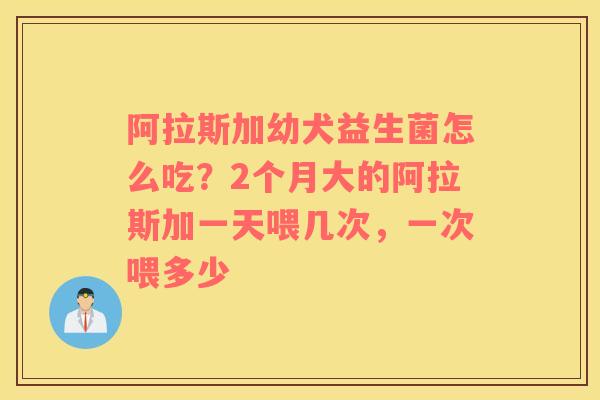 阿拉斯加幼犬益生菌怎么吃？2个月大的阿拉斯加一天喂几次，一次喂多少