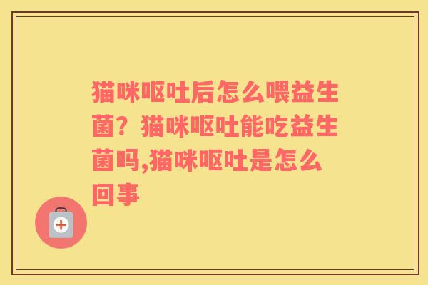 猫咪呕吐后怎么喂益生菌？猫咪呕吐能吃益生菌吗,猫咪呕吐是怎么回事