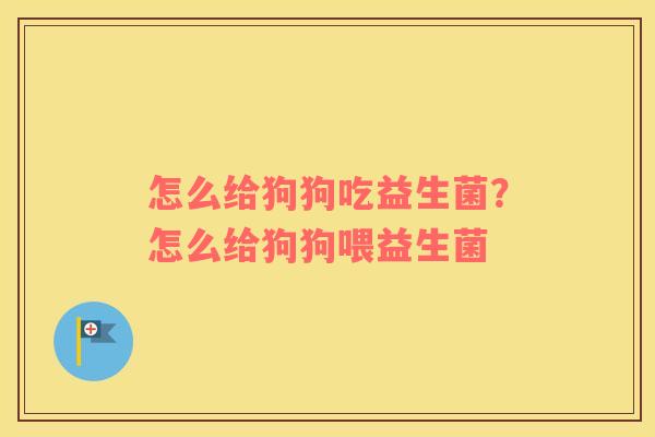怎么给狗狗吃益生菌？怎么给狗狗喂益生菌