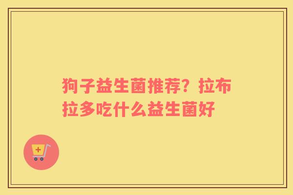 狗子益生菌推荐？拉布拉多吃什么益生菌好
