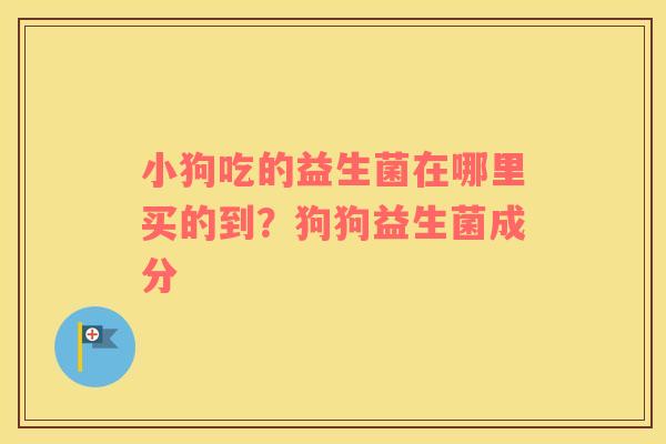 小狗吃的益生菌在哪里买的到？狗狗益生菌成分
