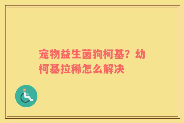 宠物益生菌狗柯基？幼柯基拉稀怎么解决