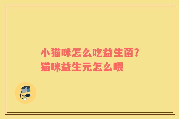 小猫咪怎么吃益生菌？猫咪益生元怎么喂
