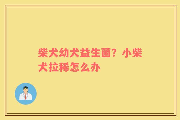 柴犬幼犬益生菌？小柴犬拉稀怎么办