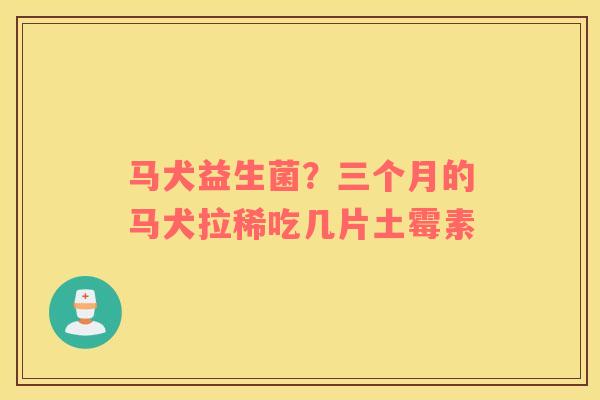 马犬益生菌？三个月的马犬拉稀吃几片土霉素