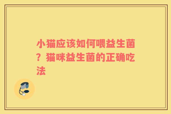 小猫应该如何喂益生菌？猫咪益生菌的正确吃法