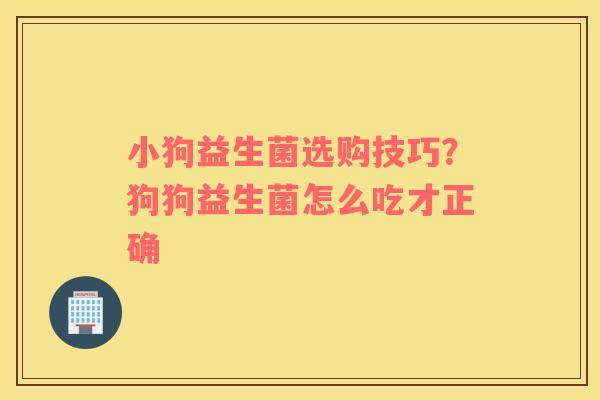 小狗益生菌选购技巧？狗狗益生菌怎么吃才正确