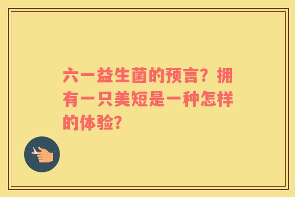 六一益生菌的预言？拥有一只美短是一种怎样的体验？