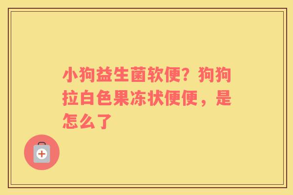 小狗益生菌软便？狗狗拉白色果冻状便便，是怎么了