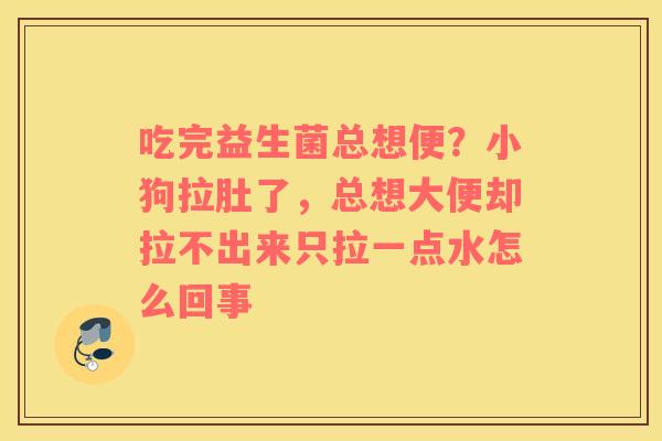 吃完益生菌总想便？小狗拉肚了，总想大便却拉不出来只拉一点水怎么回事