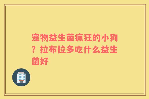宠物益生菌疯狂的小狗？拉布拉多吃什么益生菌好