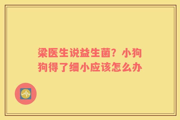 梁医生说益生菌？小狗狗得了细小应该怎么办