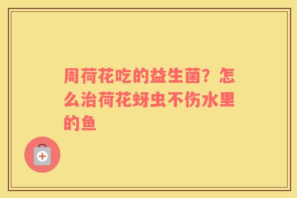 周荷花吃的益生菌？怎么治荷花蚜虫不伤水里的鱼