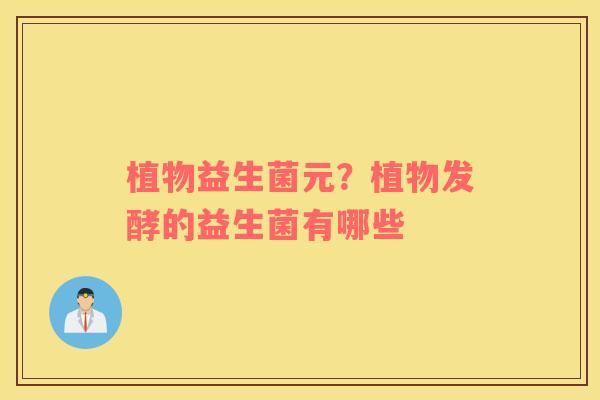 植物益生菌元？植物发酵的益生菌有哪些
