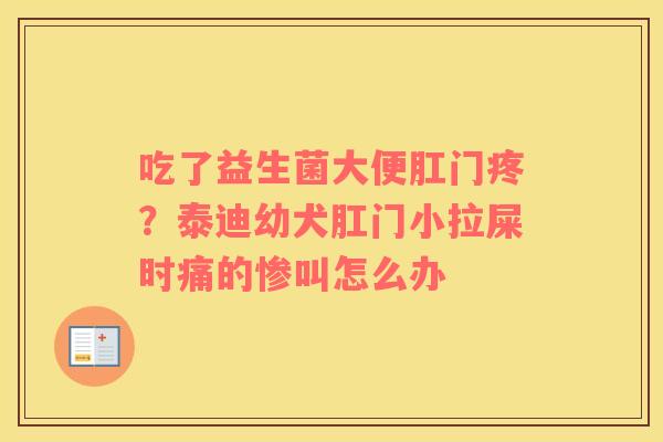 吃了益生菌大便肛门疼？泰迪幼犬肛门小拉屎时痛的惨叫怎么办