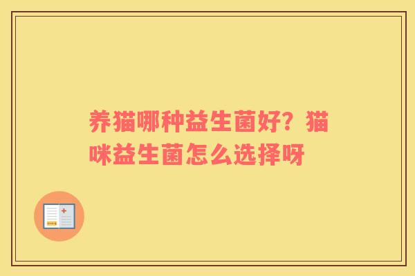 养猫哪种益生菌好？猫咪益生菌怎么选择呀