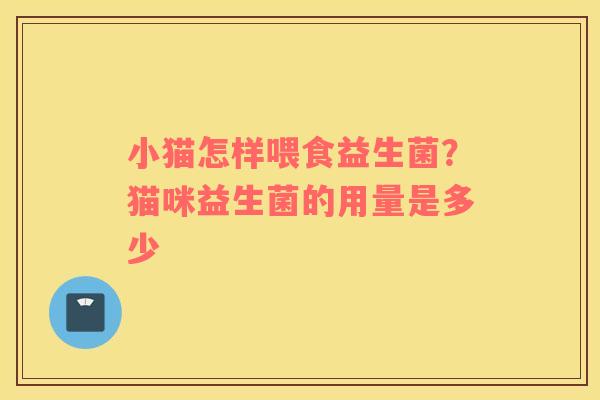 小猫怎样喂食益生菌？猫咪益生菌的用量是多少