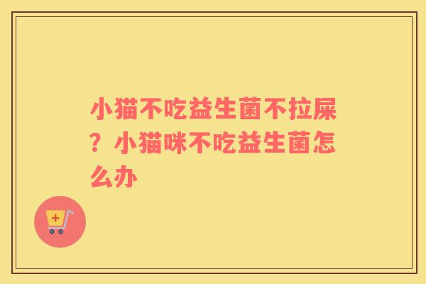 小猫不吃益生菌不拉屎？小猫咪不吃益生菌怎么办