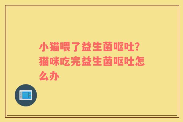小猫喂了益生菌？猫咪吃完益生菌怎么办