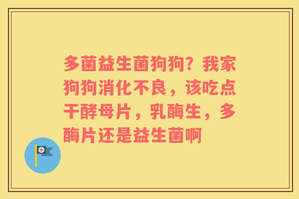 多菌益生菌狗狗？我家狗狗，该吃点干酵母片，乳酶生，多酶片还是益生菌啊