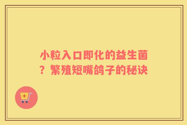 小粒入口即化的益生菌？繁殖短嘴鸽子的秘诀