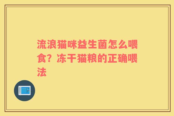 流浪猫咪益生菌怎么喂食？冻干猫粮的正确喂法