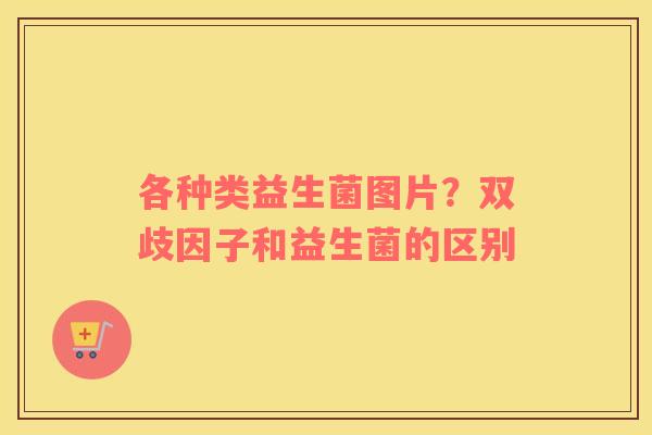 各种类益生菌图片？双歧因子和益生菌的区别