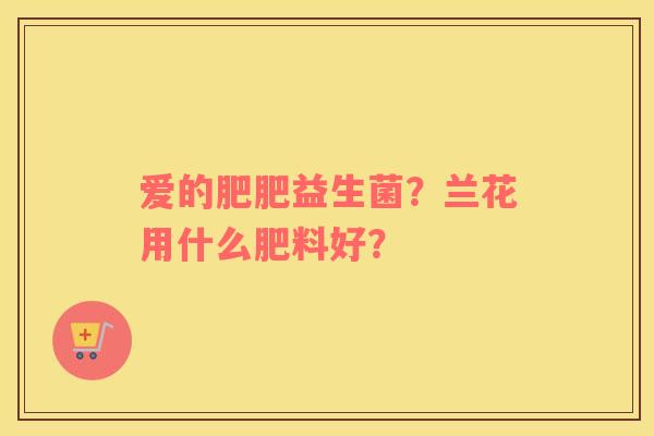 爱的肥肥益生菌？兰花用什么肥料好？