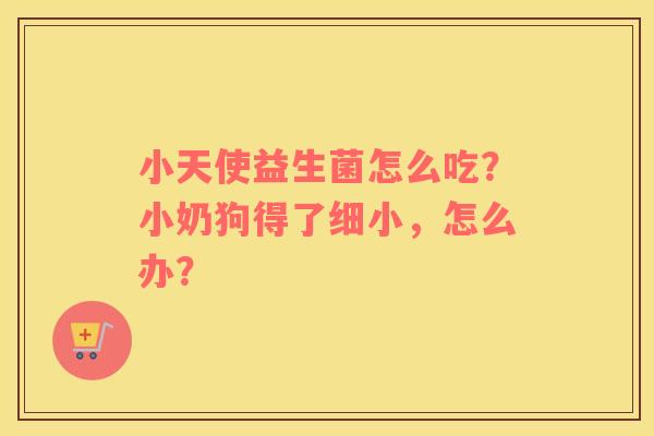 小天使益生菌怎么吃？小奶狗得了细小，怎么办？