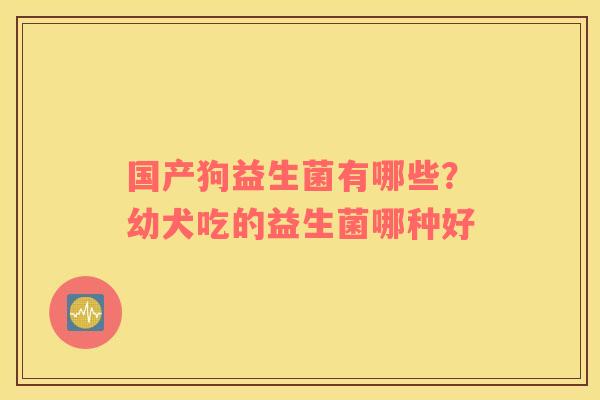 国产狗益生菌有哪些？幼犬吃的益生菌哪种好