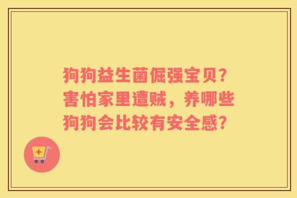 狗狗益生菌倔强宝贝？害怕家里遭贼，养哪些狗狗会比较有安全感？