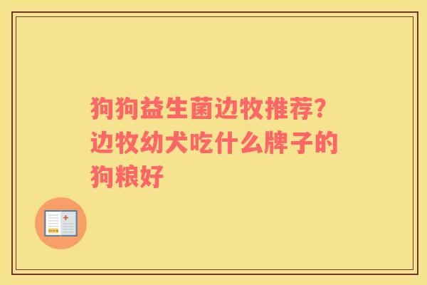 狗狗益生菌边牧推荐？边牧幼犬吃什么牌子的狗粮好