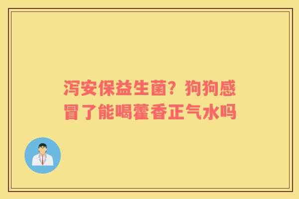 泻安保益生菌？狗狗感冒了能喝藿香正气水吗