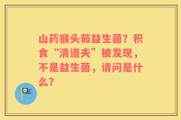 山药猴头茹益生菌？积食“清道夫”被发现，不是益生菌，请问是什么？