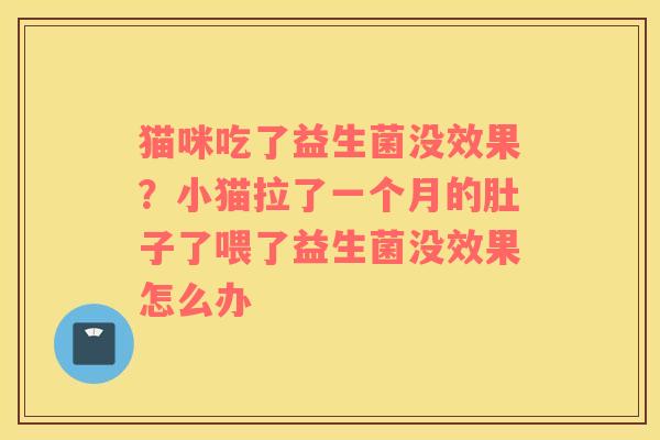 猫咪吃了益生菌没效果？小猫拉了一个月的肚子了喂了益生菌没效果怎么办
