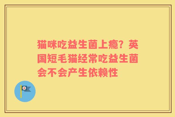 猫咪吃益生菌上瘾？英国短毛猫经常吃益生菌会不会产生依赖性