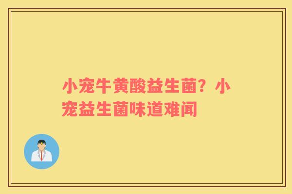 小宠牛黄酸益生菌？小宠益生菌味道难闻