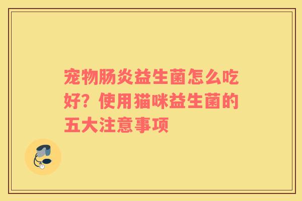 宠物益生菌怎么吃好？使用猫咪益生菌的五大注意事项