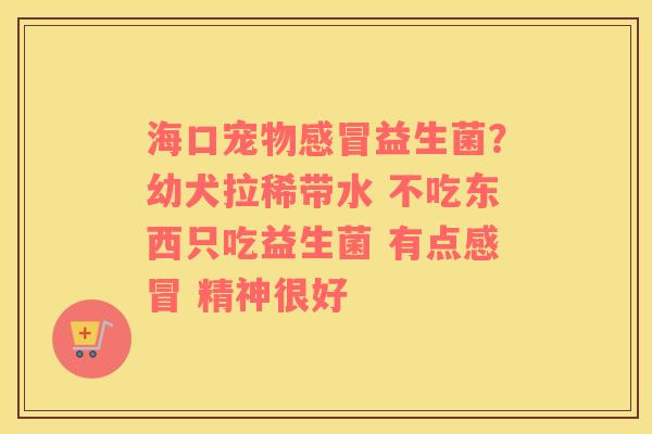 海口宠物感冒益生菌？幼犬拉稀带水 不吃东西只吃益生菌 有点感冒 精神很好
