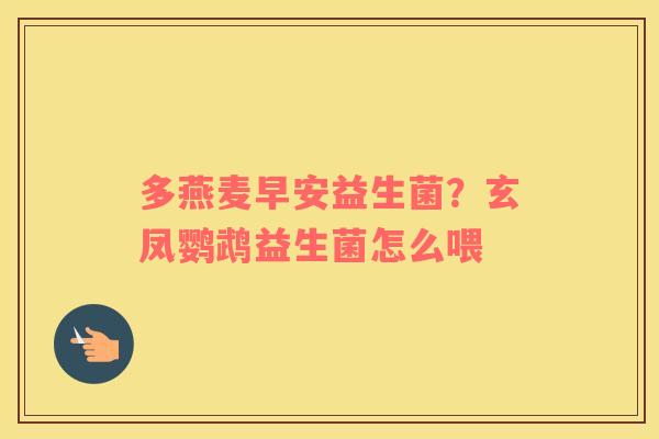 多燕麦早安益生菌？玄凤鹦鹉益生菌怎么喂