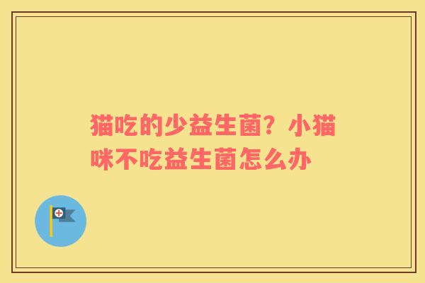猫吃的少益生菌？小猫咪不吃益生菌怎么办