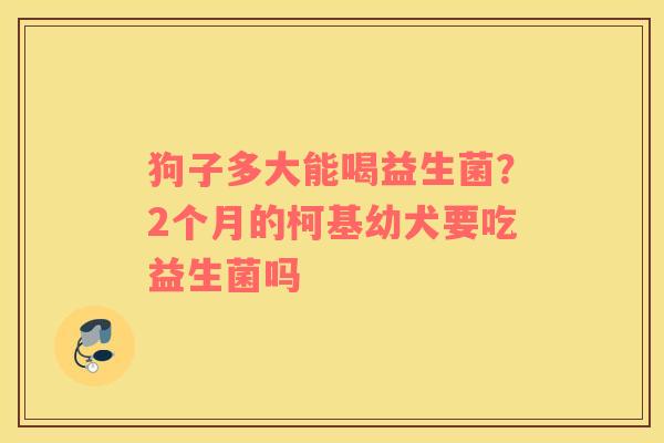 狗子多大能喝益生菌？2个月的柯基幼犬要吃益生菌吗