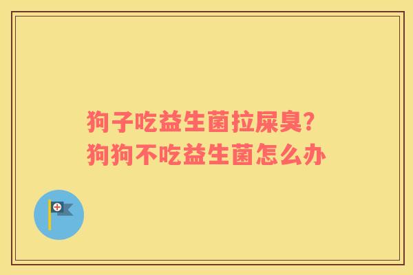 狗子吃益生菌拉屎臭？狗狗不吃益生菌怎么办