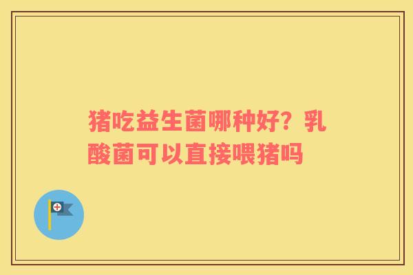 猪吃益生菌哪种好？乳酸菌可以直接喂猪吗
